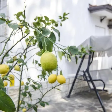 Federica 12t ميلانو ماريتيما