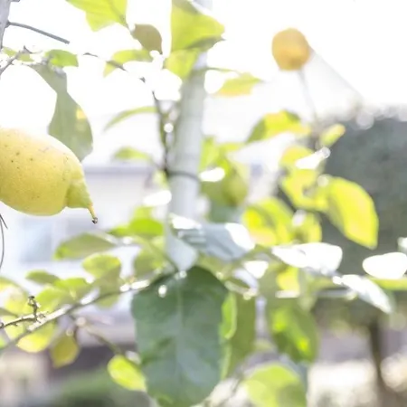 Federica 12t * Μιλάνο Μαριτίμα