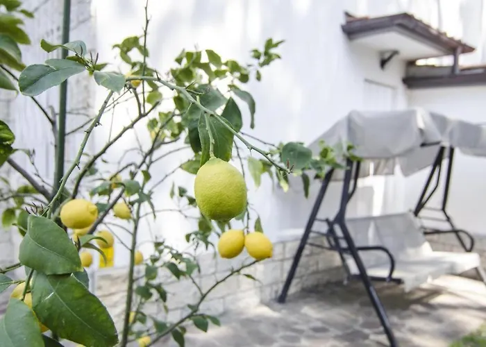 Federica 12t Milano Marittima