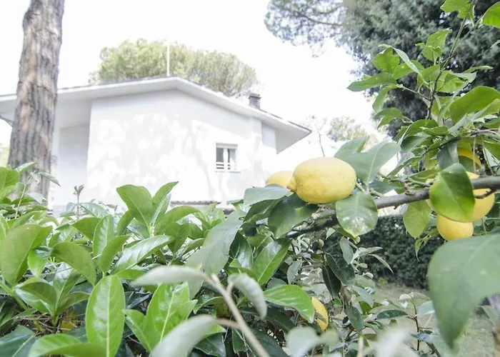 Apartman Federica 12t